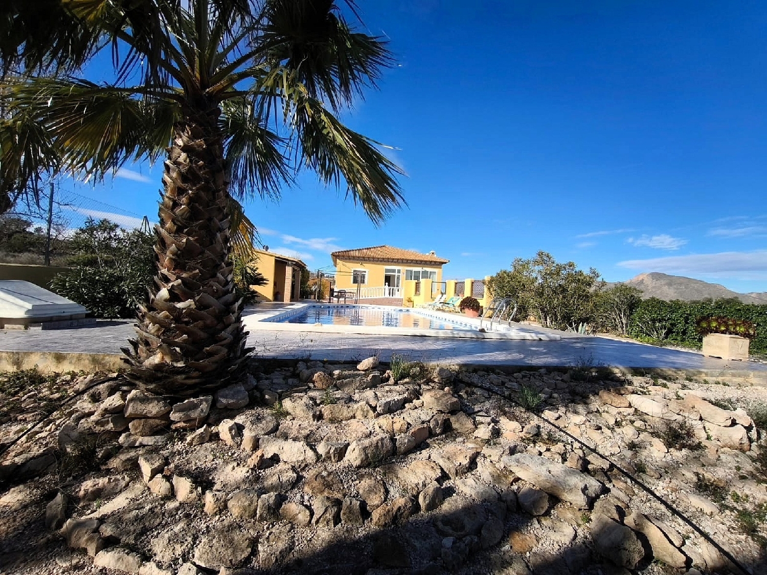  en venta finca rústica Hondón De Los Frailes Vinalopó Mitjà 25