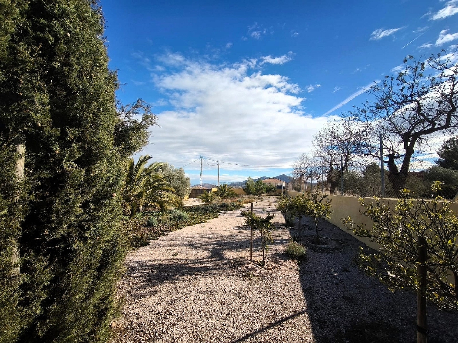  en venta finca rústica Hondón De Los Frailes Vinalopó Mitjà 24