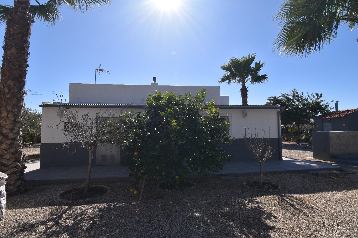  à vendre maison de campagne Hoya-Gonzalo Monte Ibérico Almansa 6