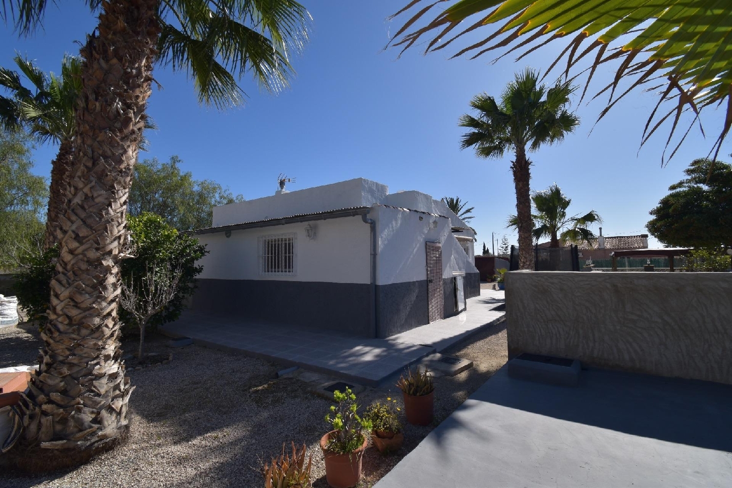  à vendre maison de campagne Hoya-Gonzalo Monte Ibérico Almansa 5