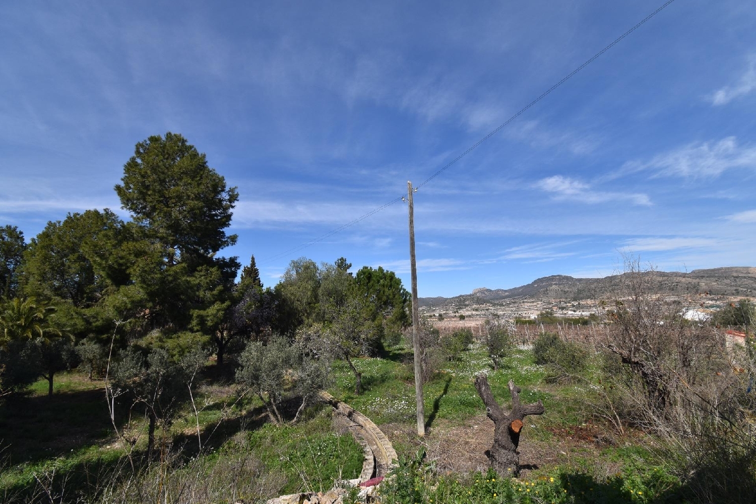  kaufen Landhaus La Romana Vinalopó Mitjà 6