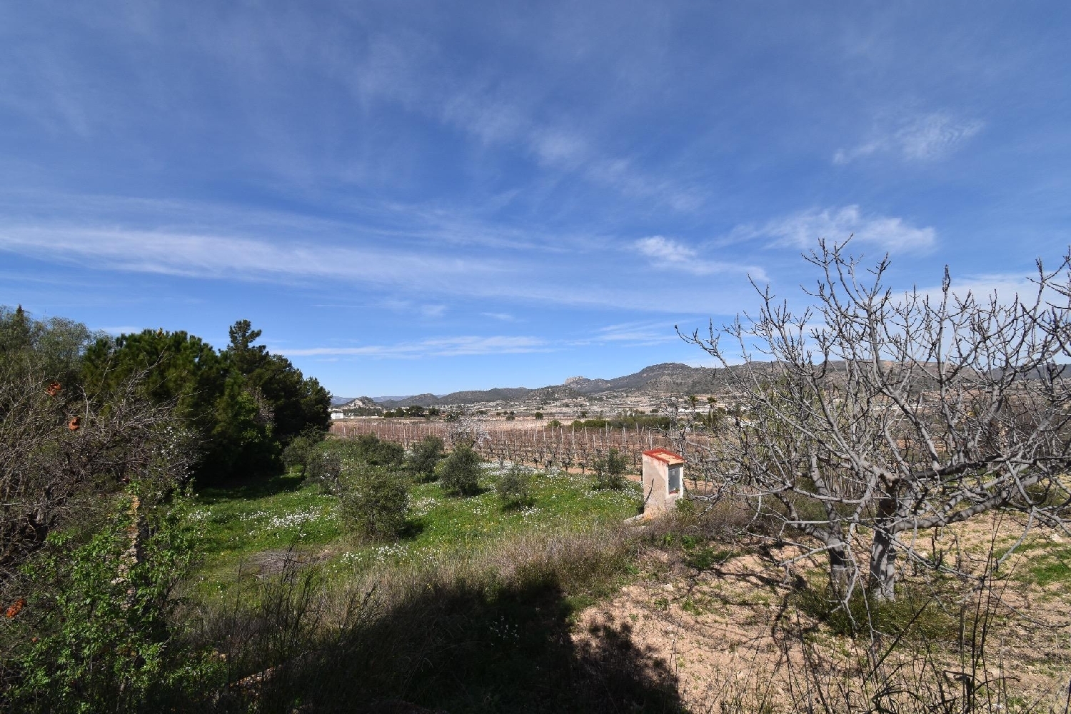  kaufen Landhaus La Romana Vinalopó Mitjà 5