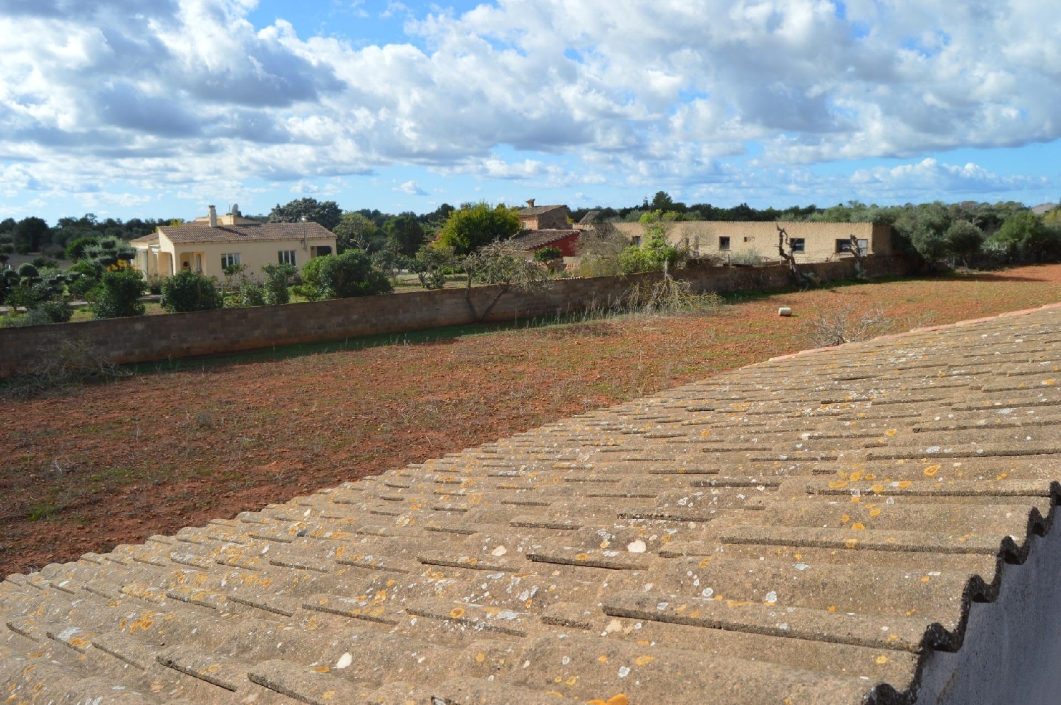  en venta finca rústica Llucmajor Llucmajor 8