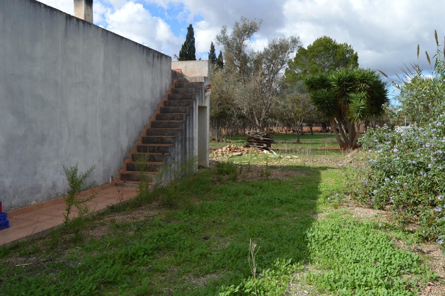  en venta finca rústica Llucmajor Llucmajor 3