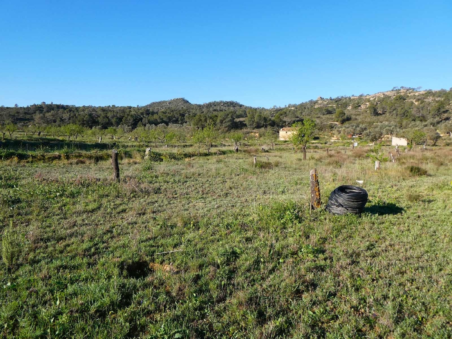  till salu hus på landet Maella Bajo Aragón-Caspe 6