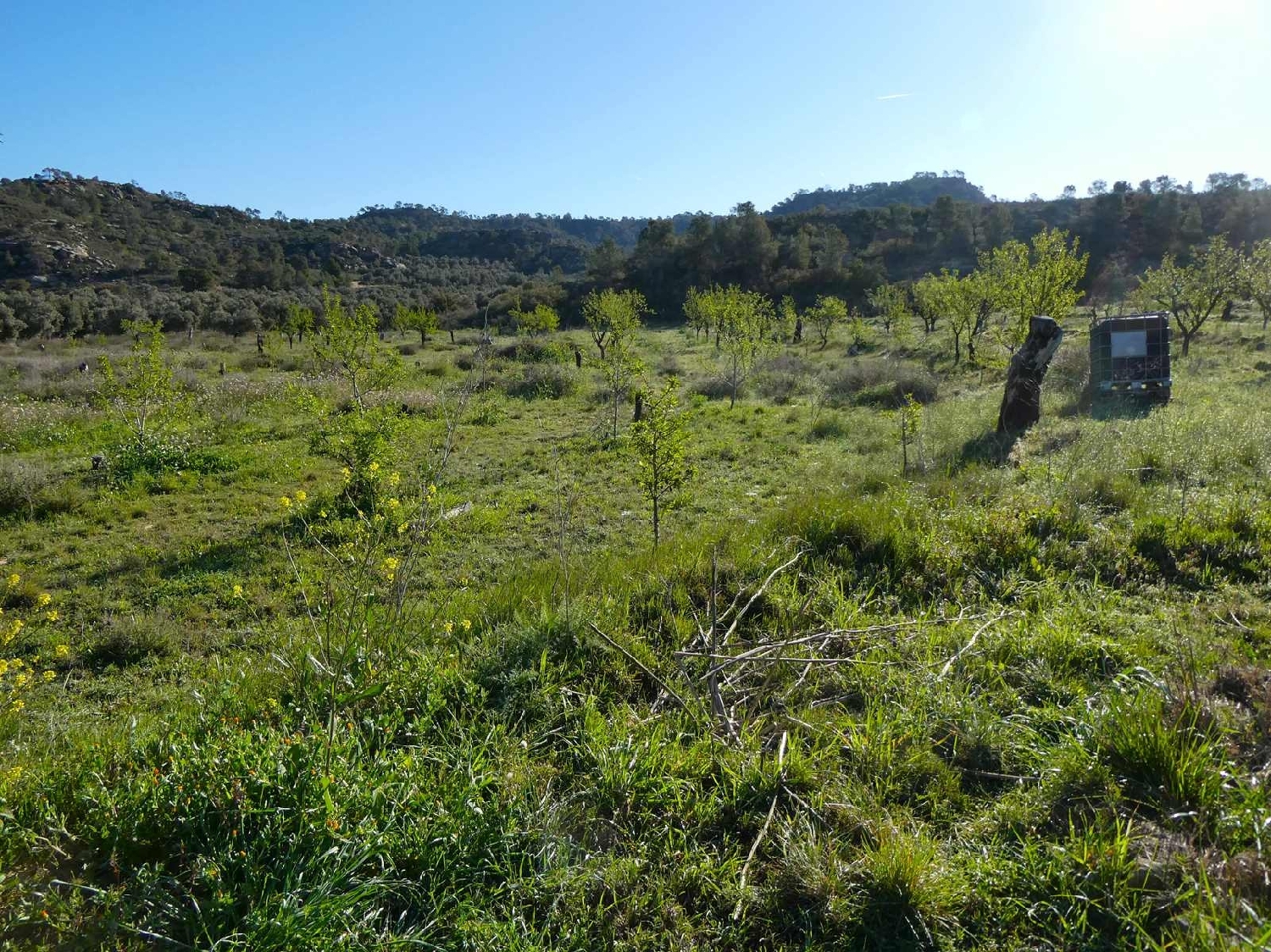  till salu hus på landet Maella Bajo Aragón-Caspe 11