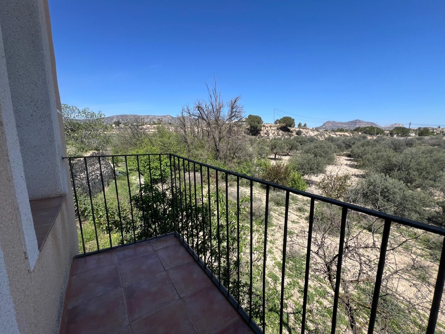  à vendre maison de campagne Monóvar Vinalopó Mitjà 4