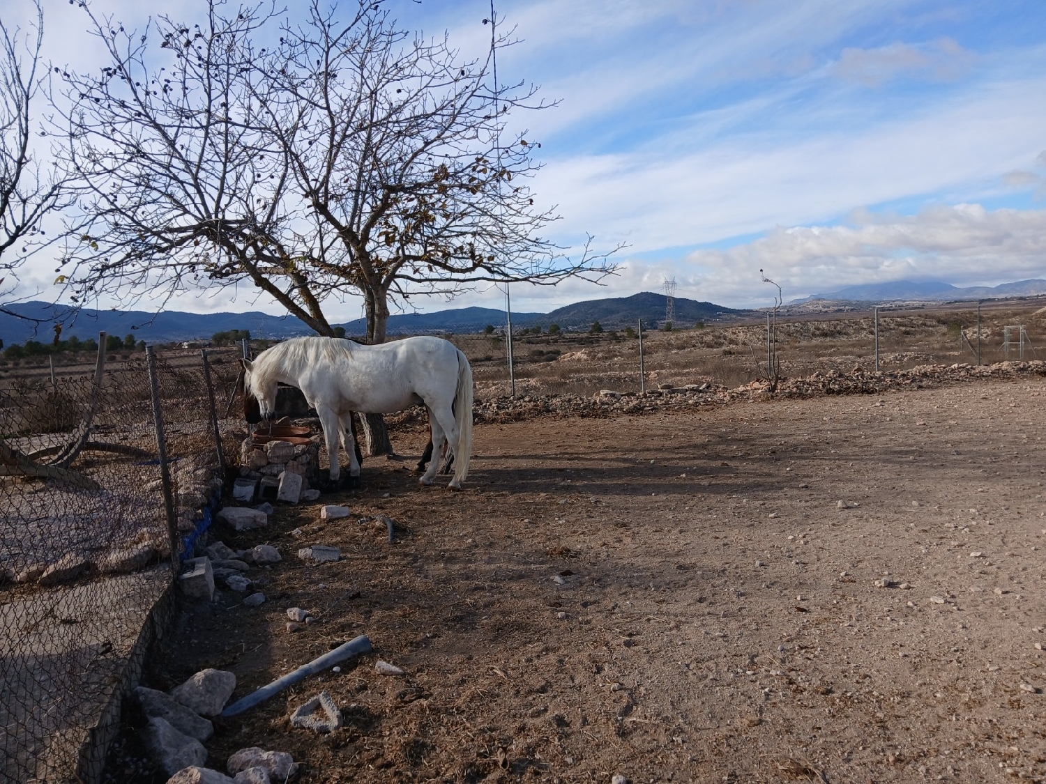 till salu hus på landet Monóvar Vinalopó Mitjà 4