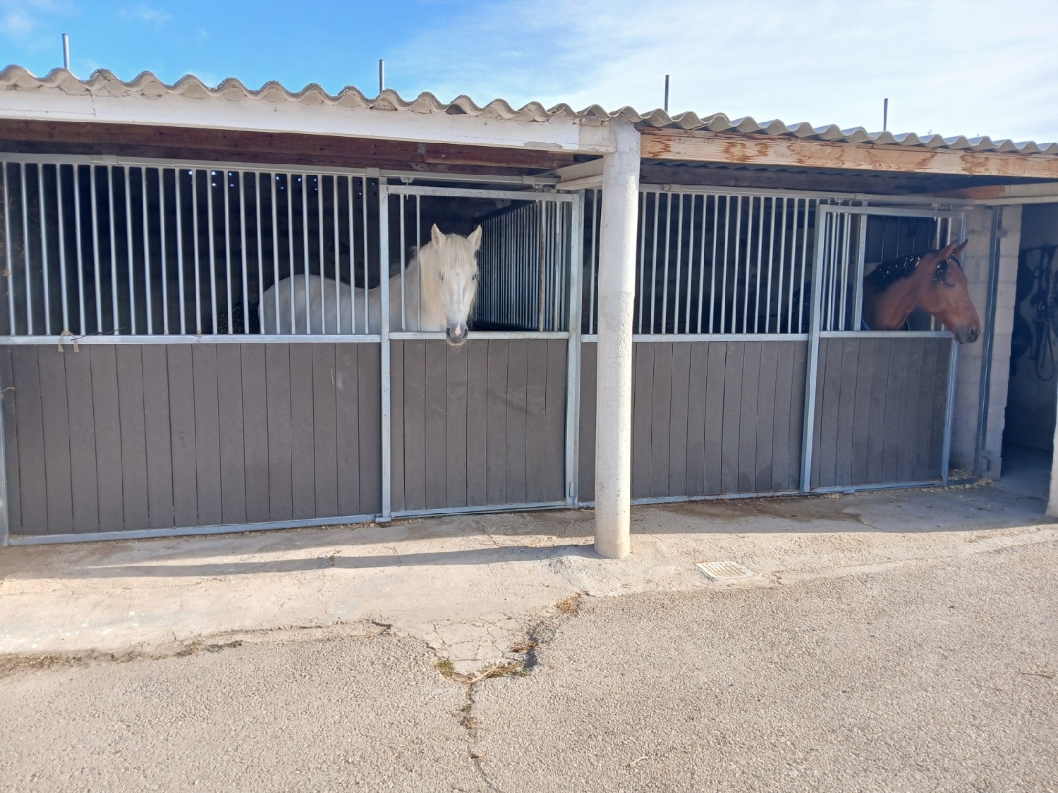 till salu hus på landet Monóvar Vinalopó Mitjà 3