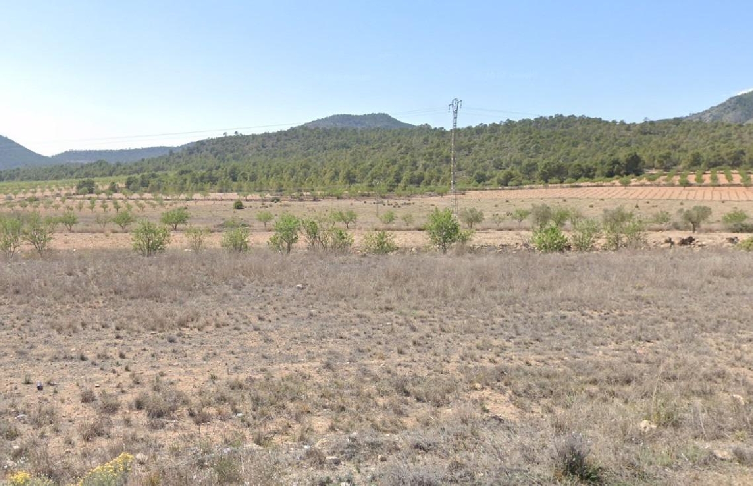  à vendre maison de campagne Monóvar Vinalopó Mitjà 6
