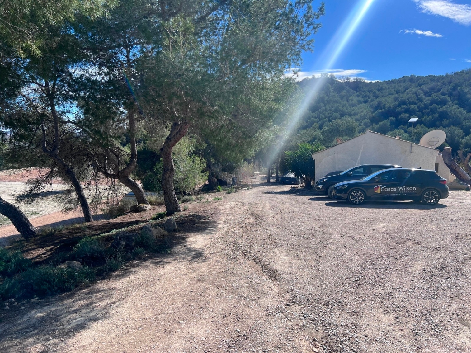  en venta finca rústica Orihuela Baix Segura 2