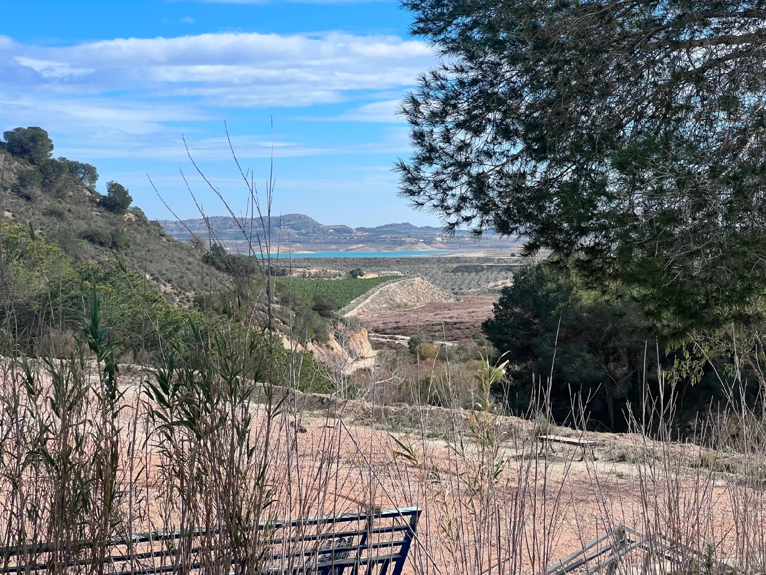  en venta finca rústica Orihuela Baix Segura 5