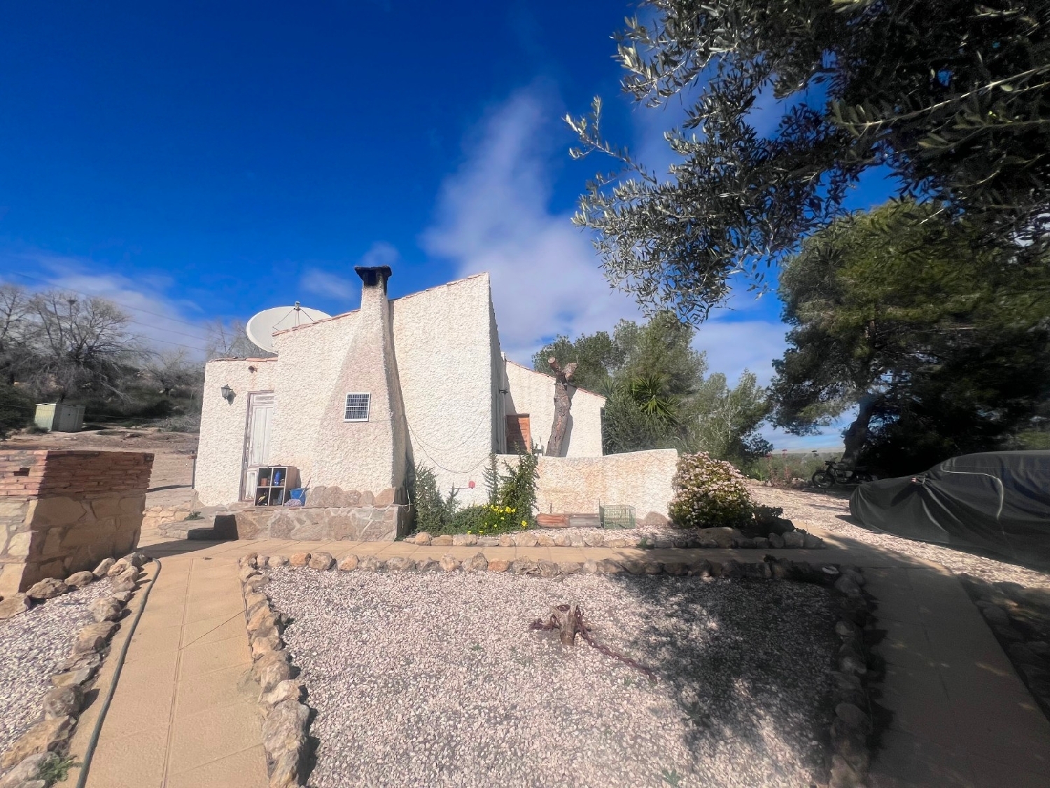  en venta finca rústica Orihuela Baix Segura 8