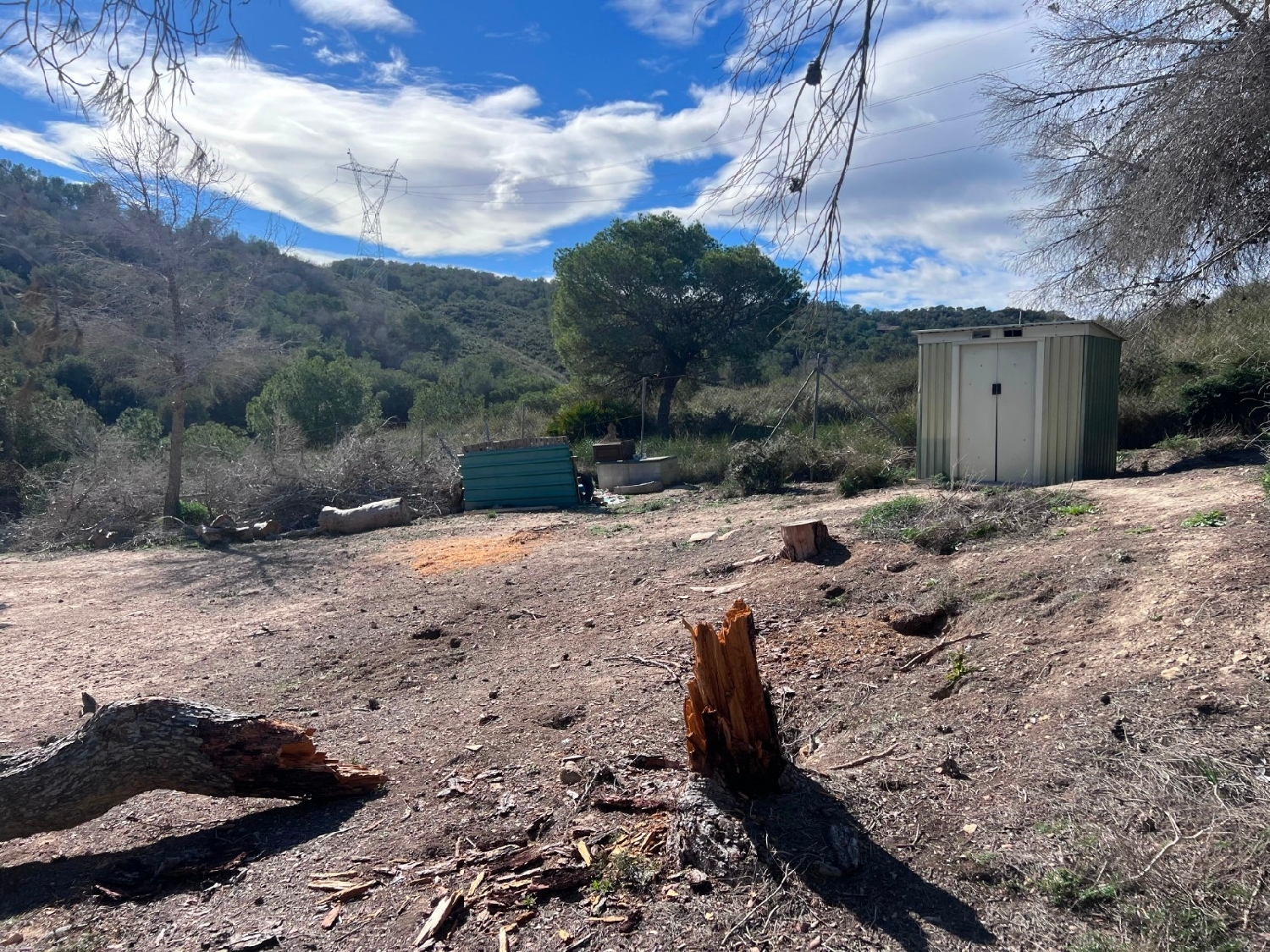  en venta finca rústica Orihuela Baix Segura 7