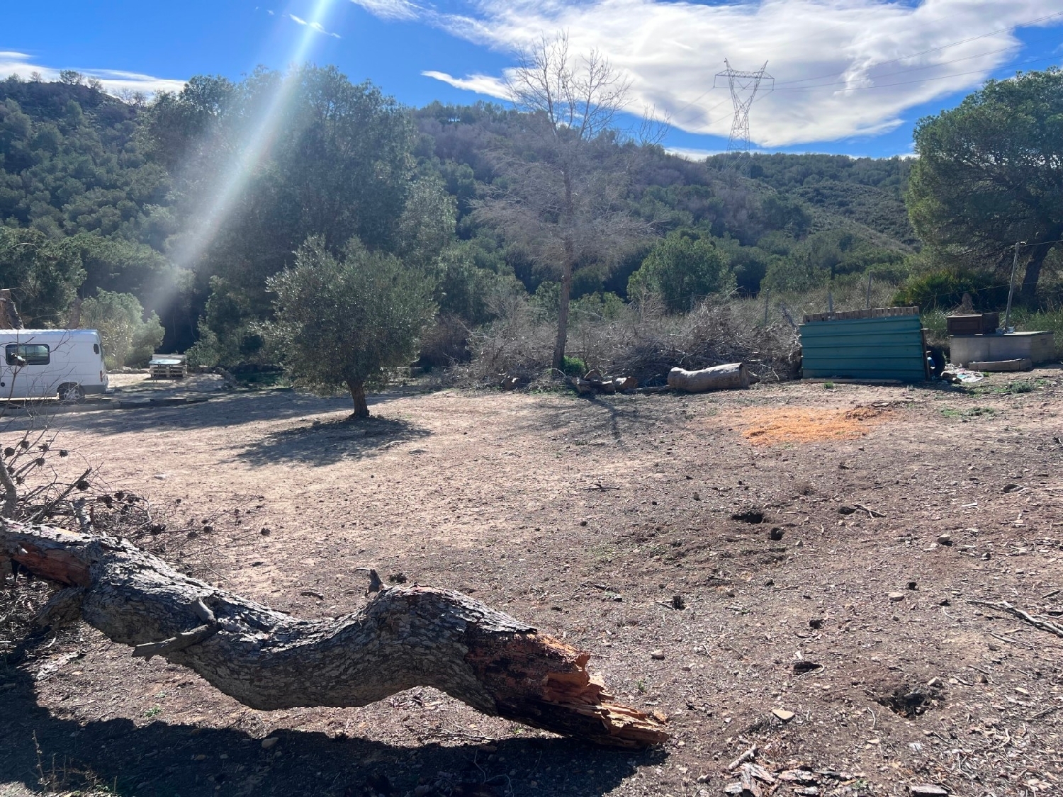  en venta finca rústica Orihuela Baix Segura 6