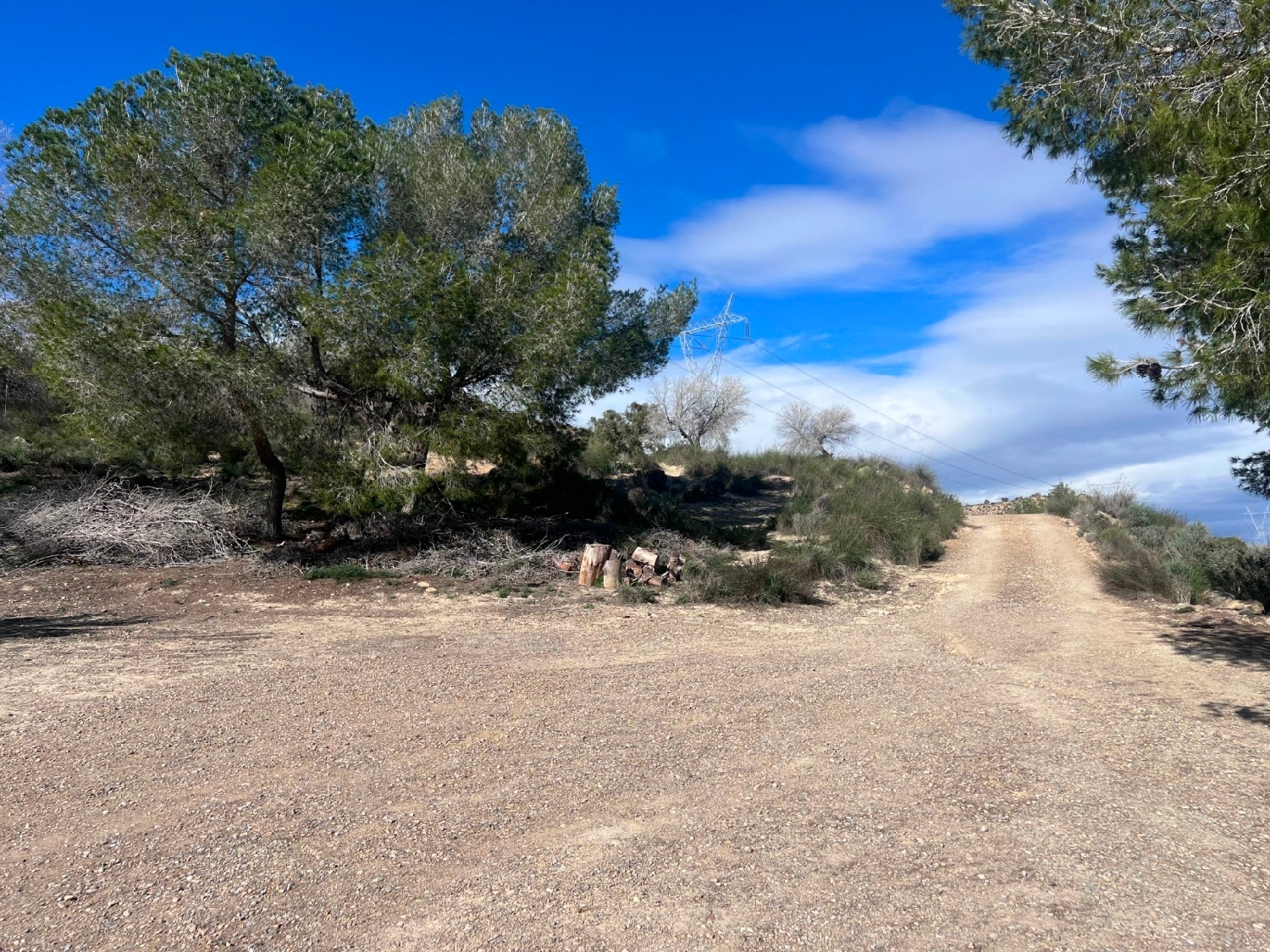  en venta finca rústica Orihuela Baix Segura 3