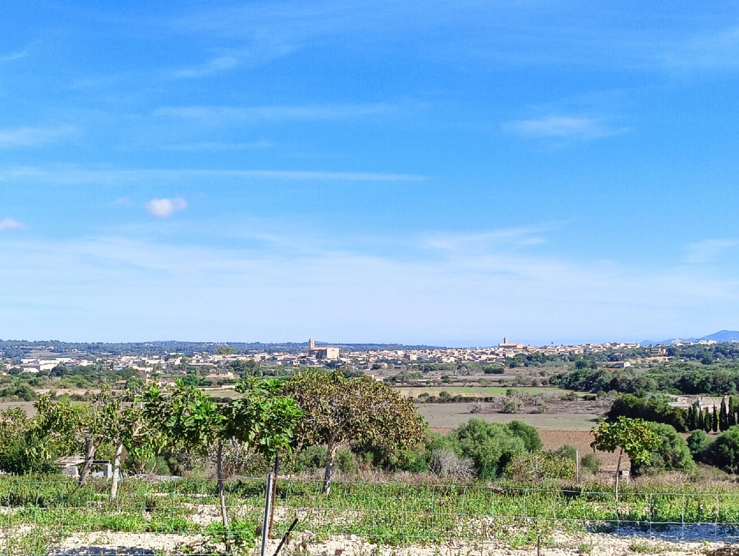  for sale country house Petra Pla (Es) 2