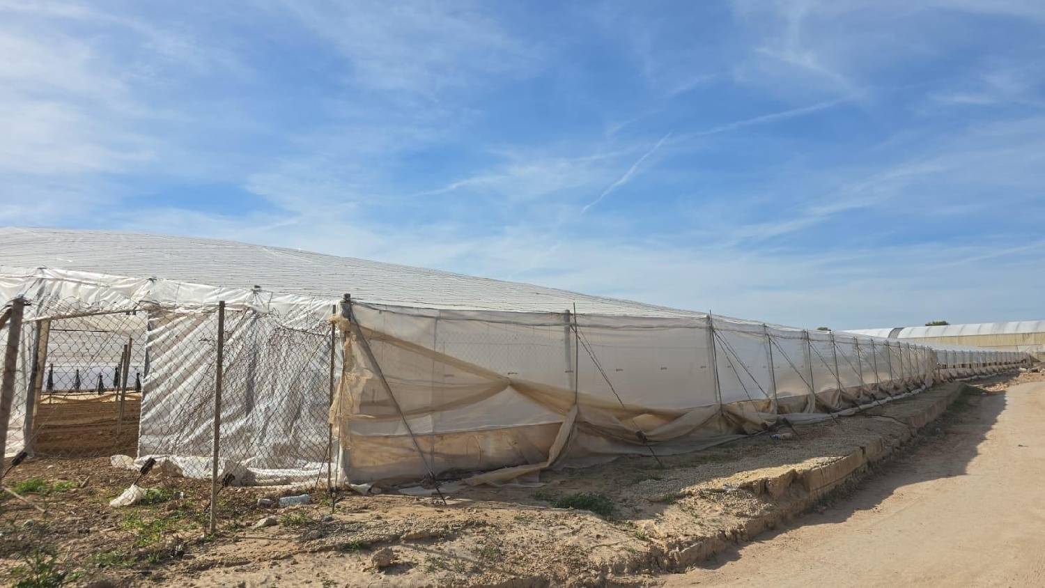 for sale country house Pilar De La Horadada Baix Segura 3