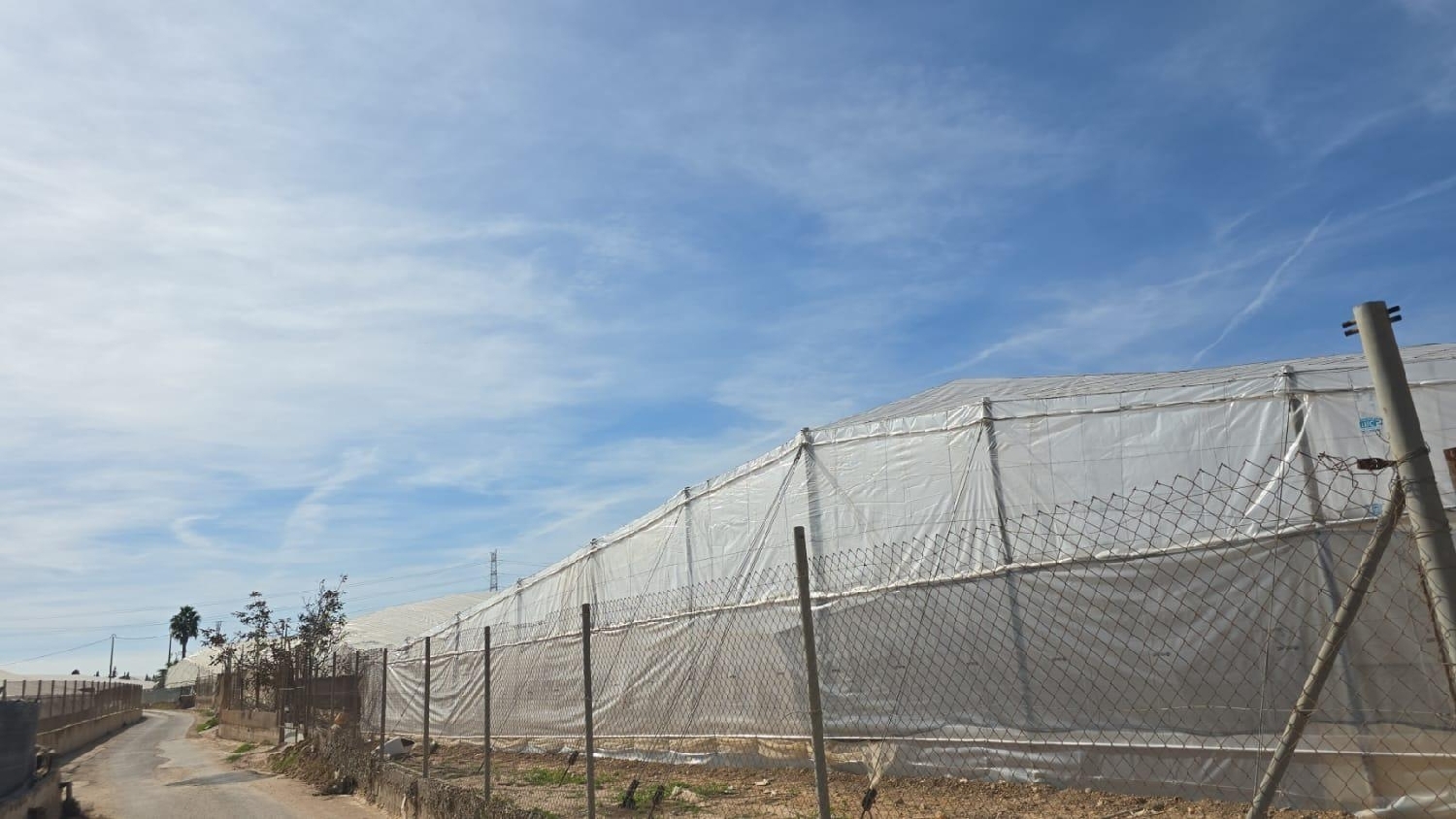 for sale country house Pilar De La Horadada Baix Segura 2