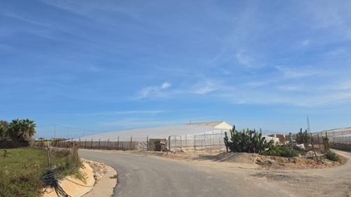 Pilar De La Horadada Baix Segura country house foto 6352228