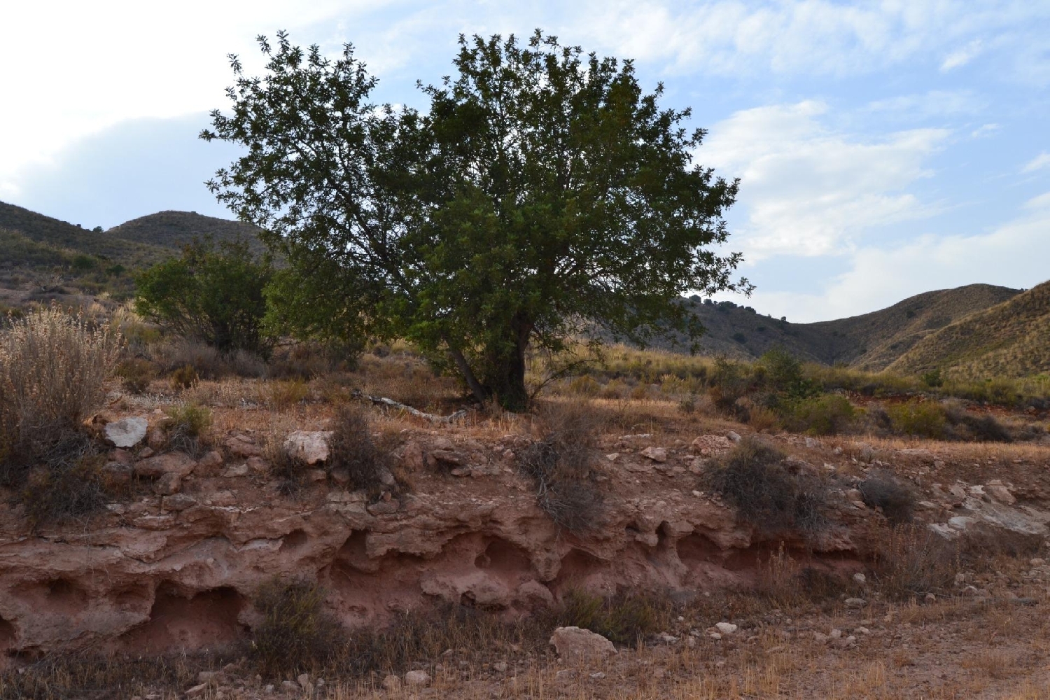  te koop boerderij Porcariza Arzúa 8