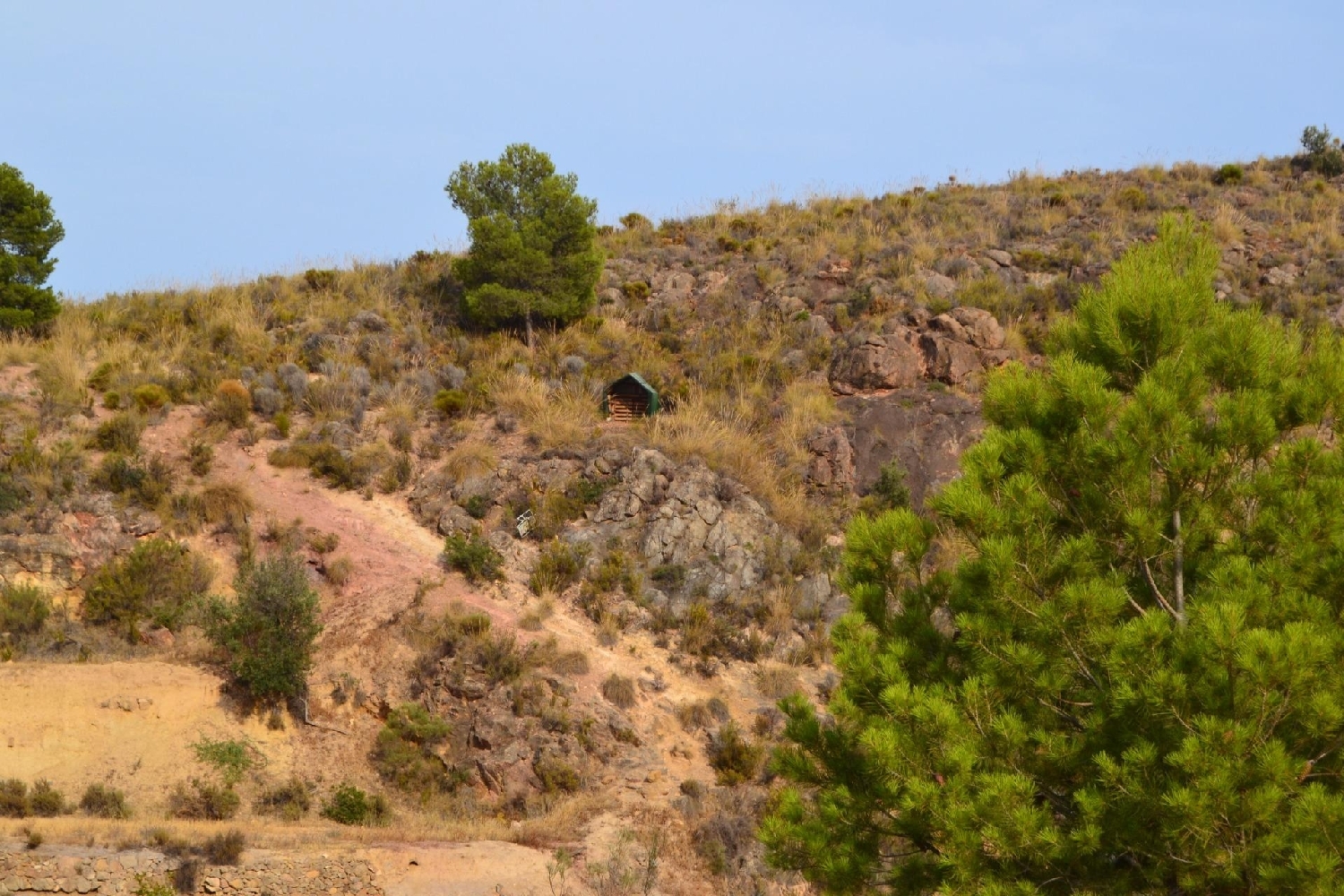  te koop boerderij Porcariza Arzúa 4