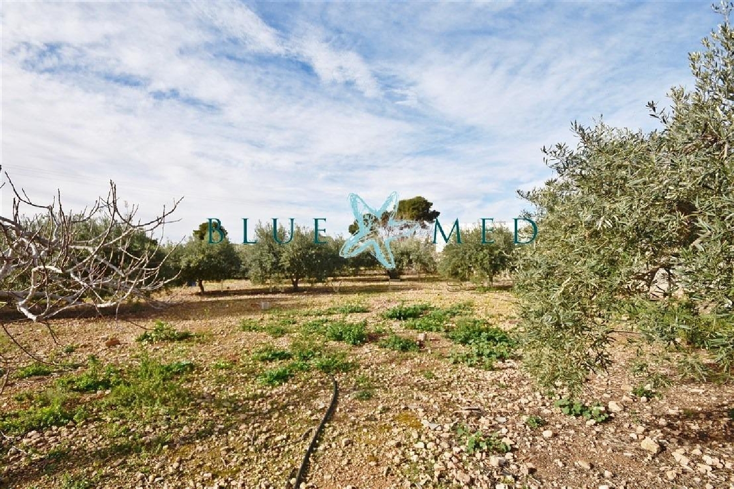  till salu hus på landet Puerto De Mazarrón Bajo Guadalentín 5