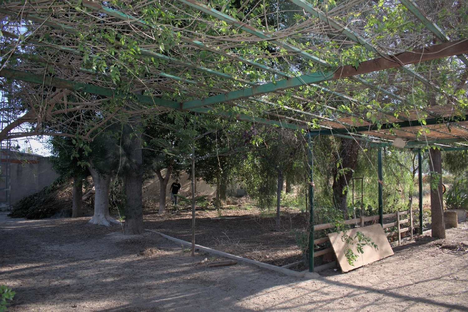  for sale country house Redován Baix Segura 3