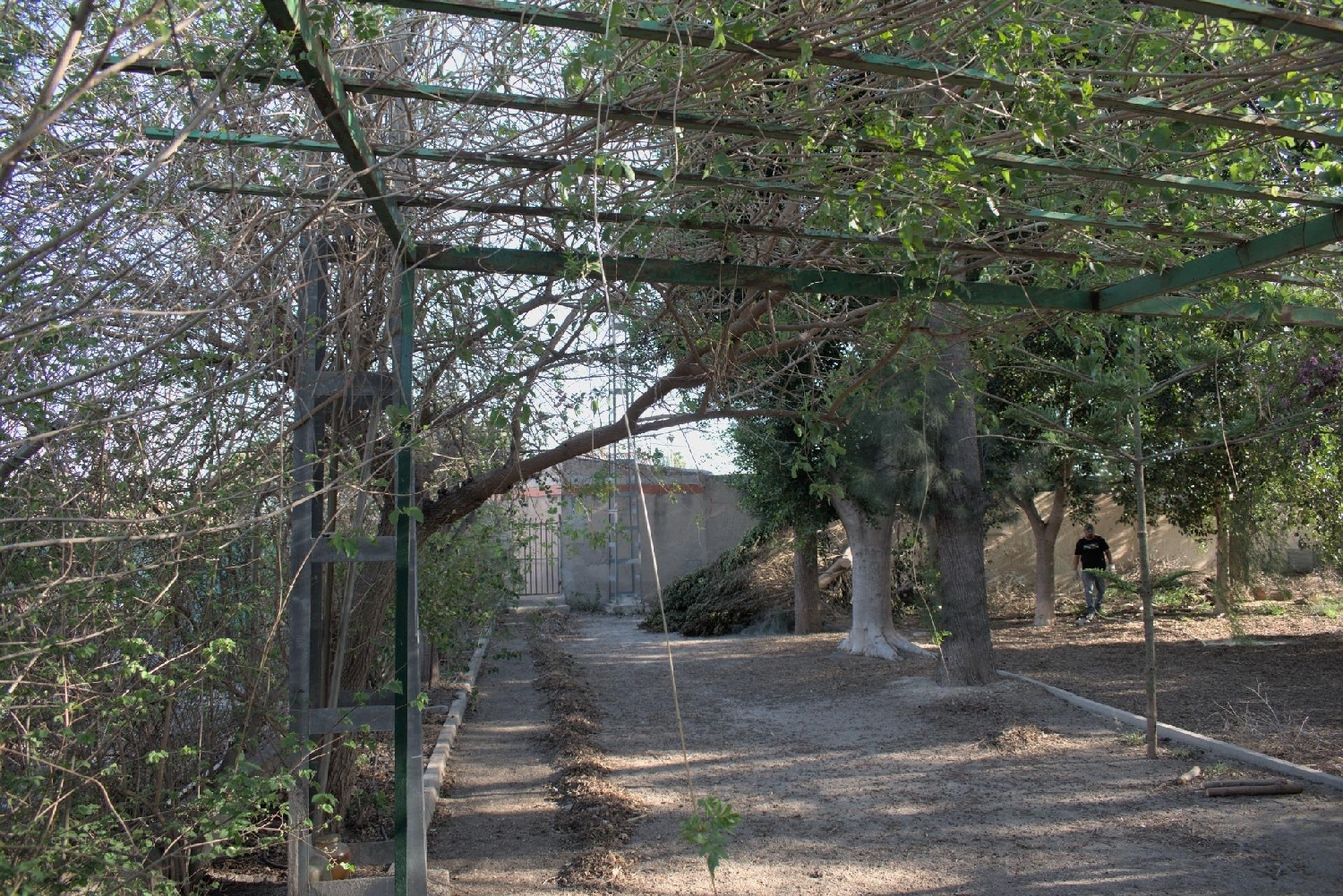  for sale country house Redován Baix Segura 4