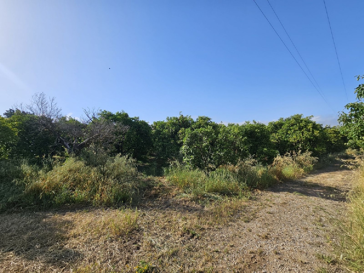  till salu hus på landet San Martin Del Tesorillo Campo De Gibraltar 6