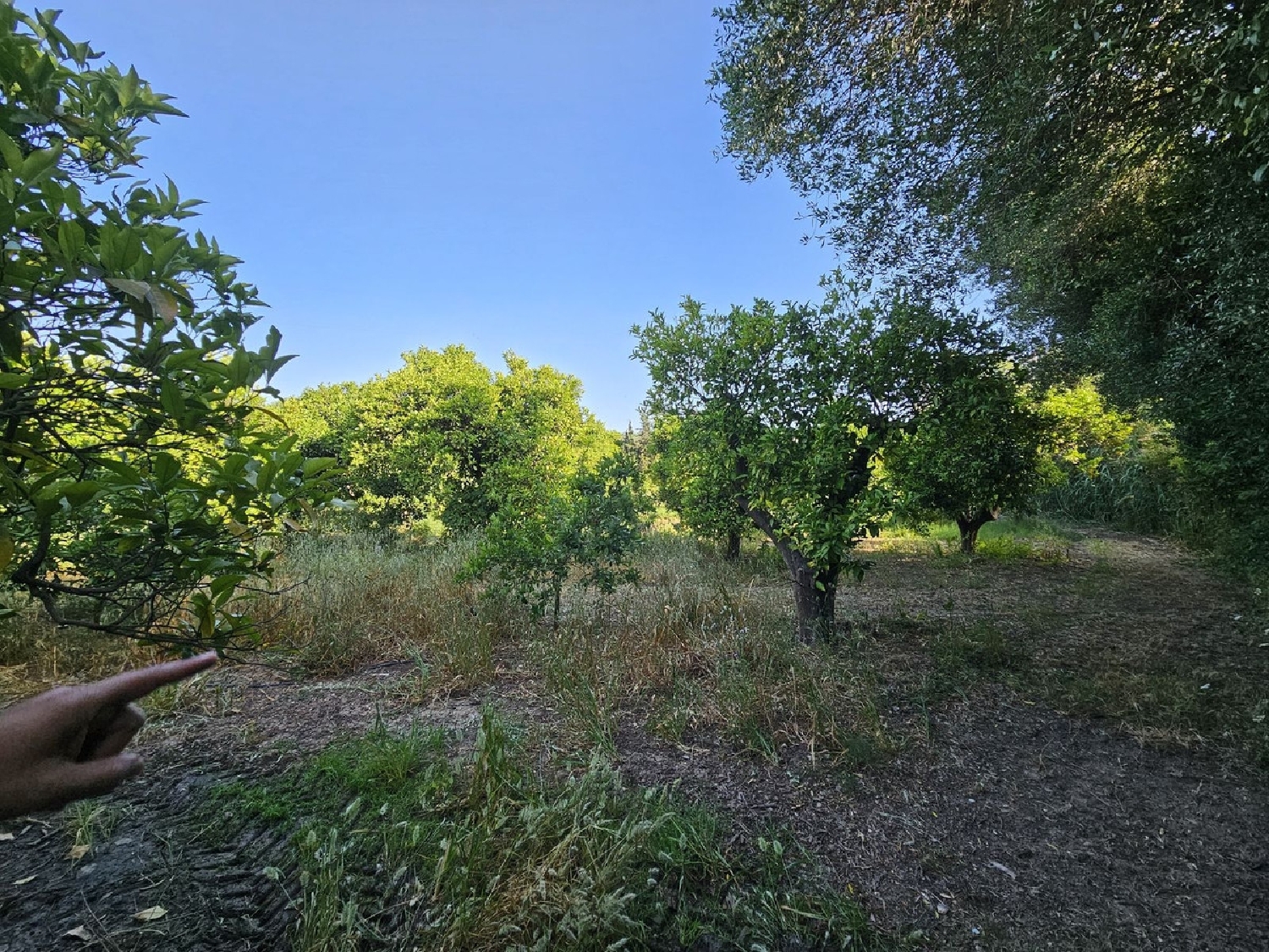 till salu hus på landet San Martin Del Tesorillo Campo De Gibraltar 2
