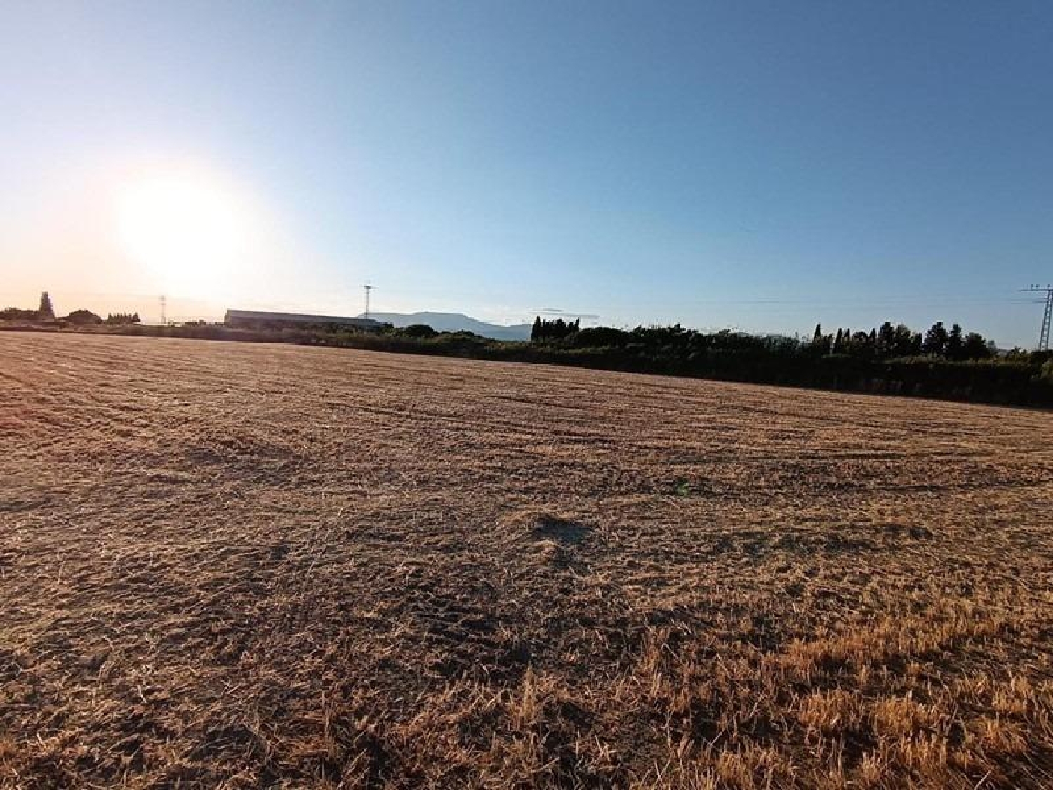  te koop boerderij Santa Fe Vega De Granada 7