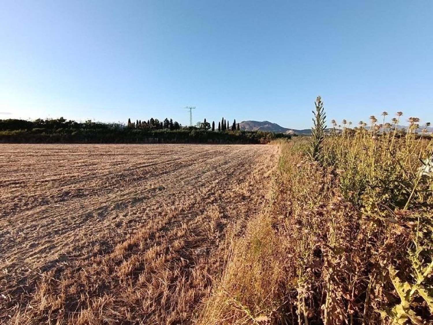  te koop boerderij Santa Fe Vega De Granada 8