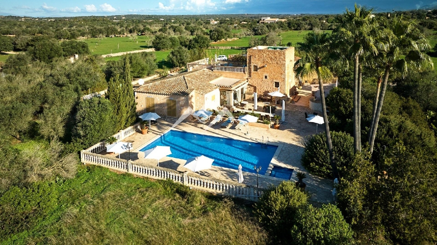  till salu hus på landet Ses Salines Sud 7