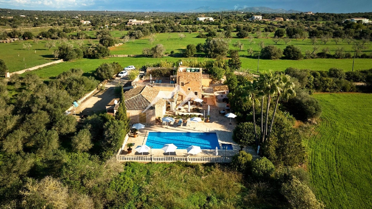  till salu hus på landet Ses Salines Sud 4