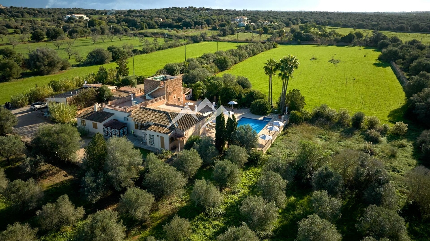  till salu hus på landet Ses Salines Sud 3