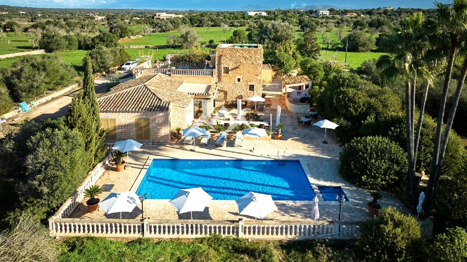  till salu hus på landet Ses Salines Sud 8