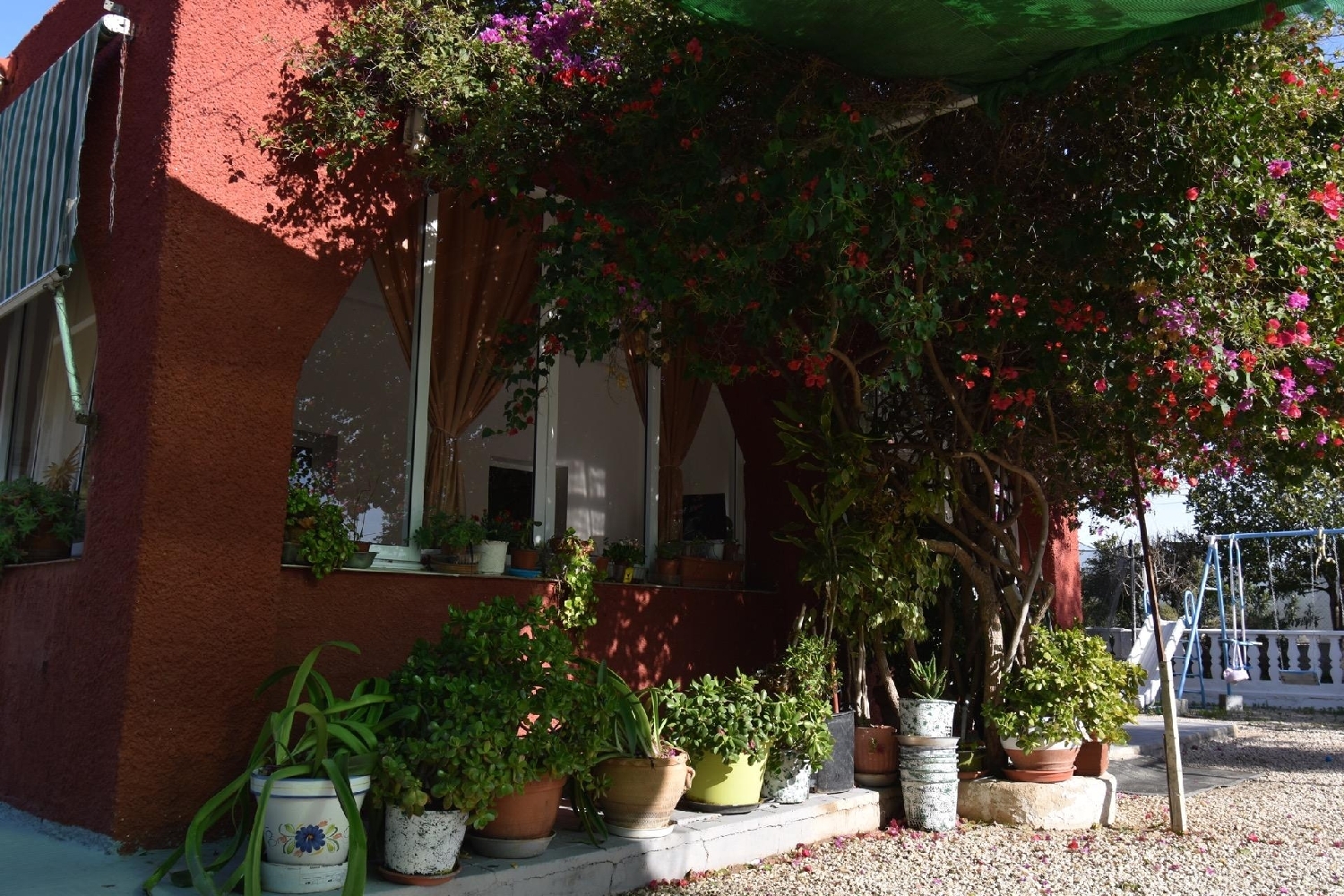  à vendre maison de campagne Torrellano Baix Vinalopó 4