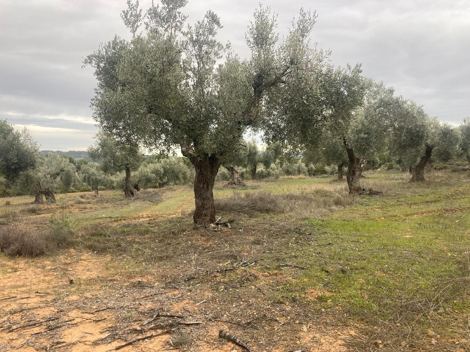  for sale country house Valderrobres Matarraña 6