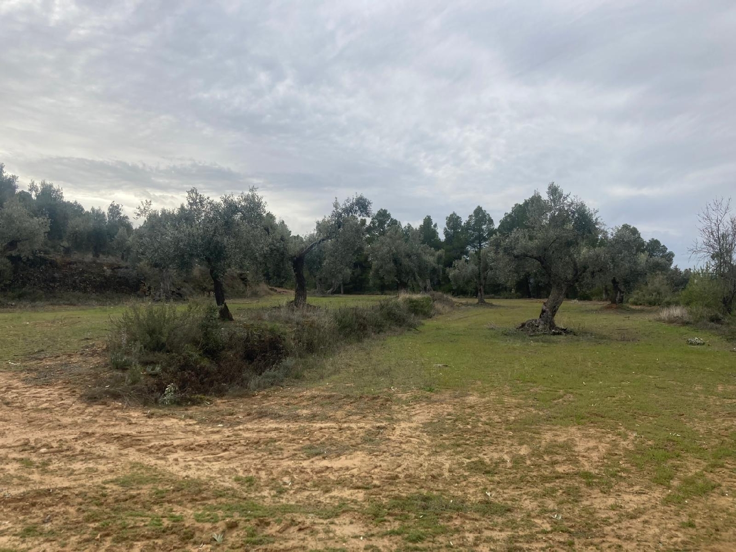  for sale country house Valderrobres Matarraña 5