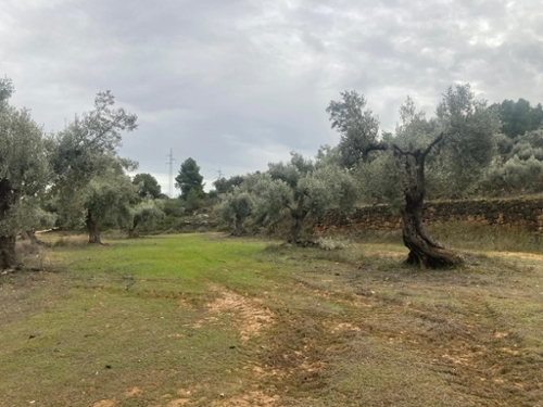Valderrobres Matarraña country house foto 6345156