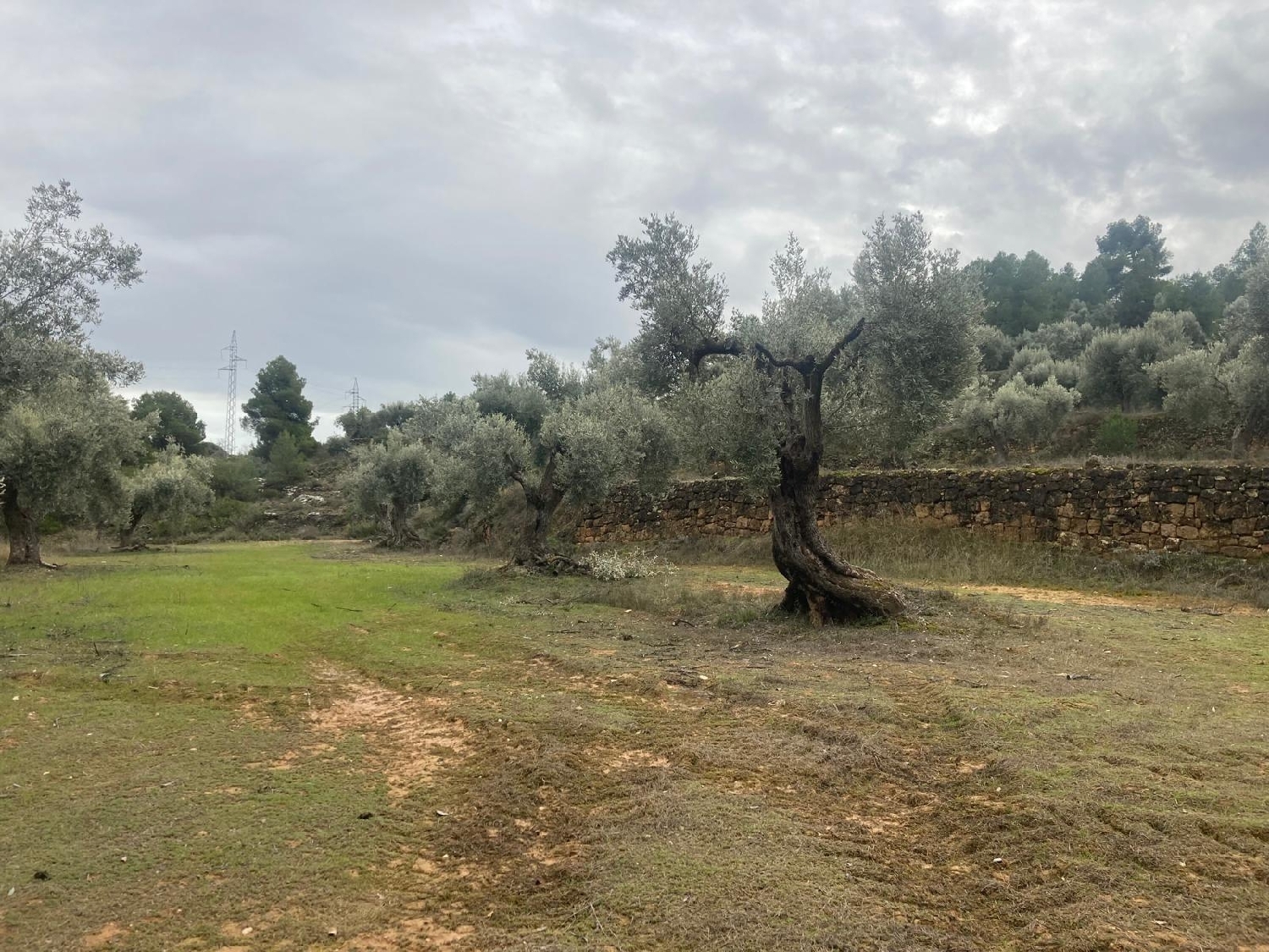  for sale country house Valderrobres Matarraña 2