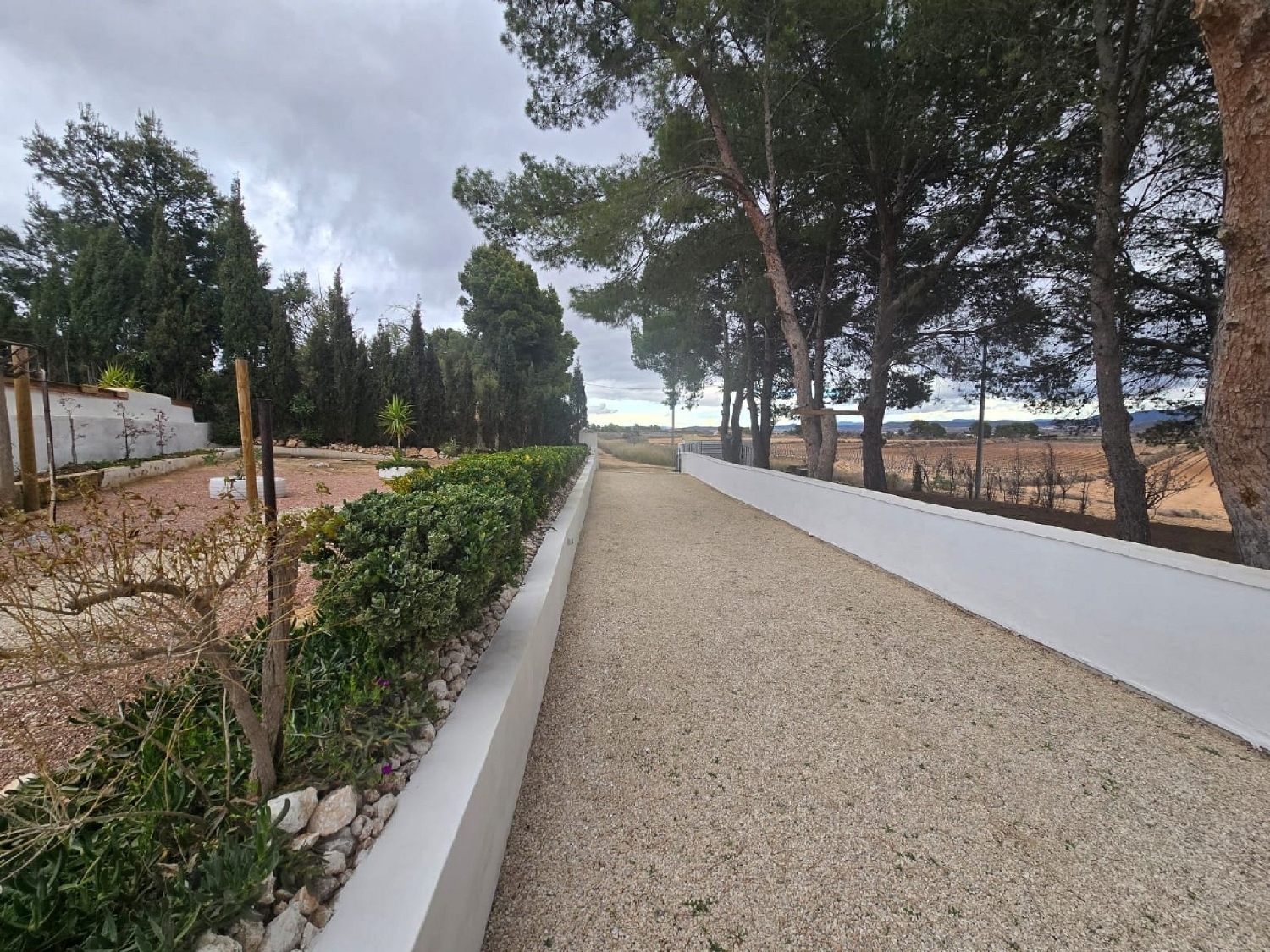  for sale country house Yecla Altiplano 13