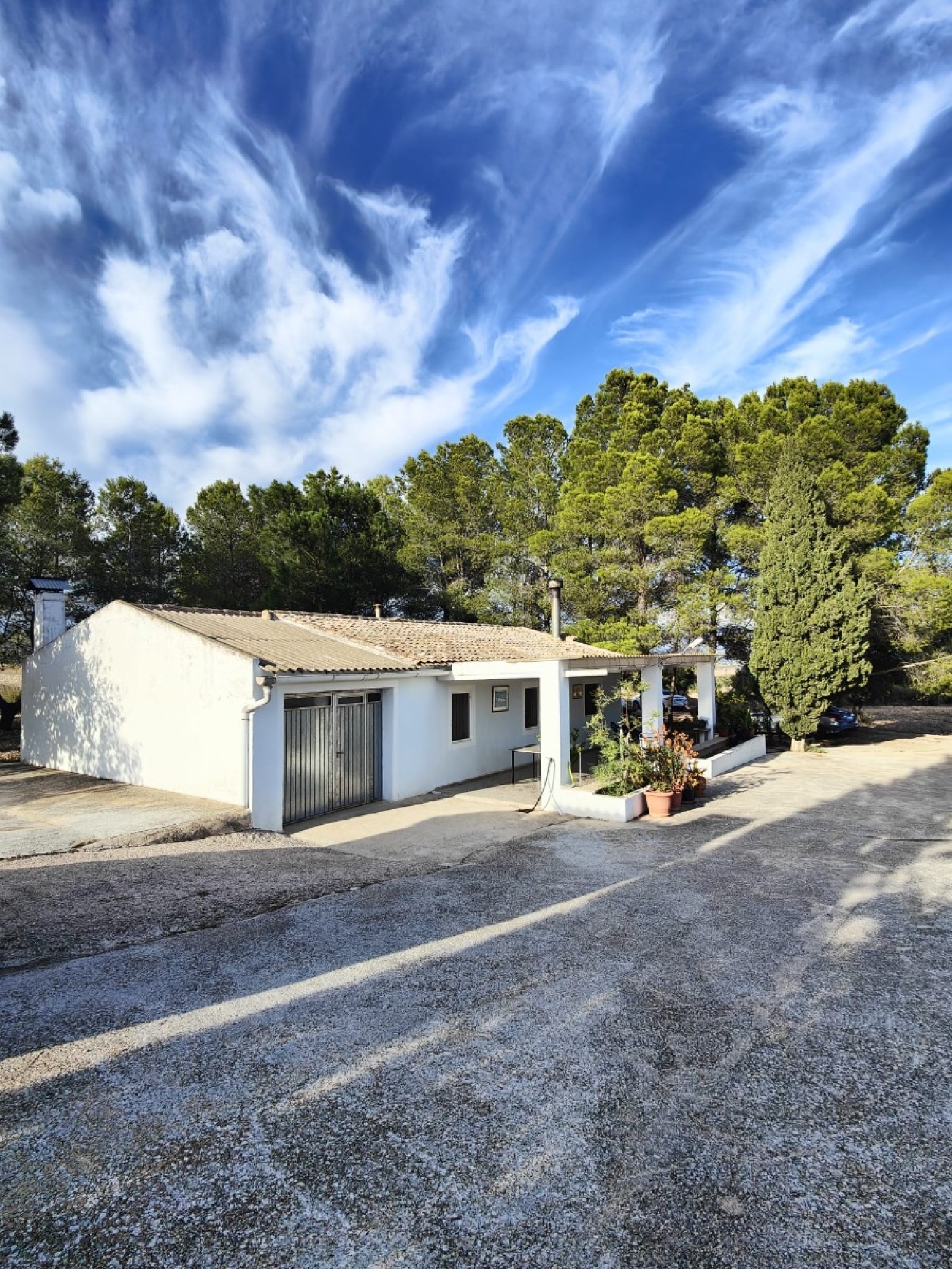  en venta finca rústica Yecla Altiplano 2