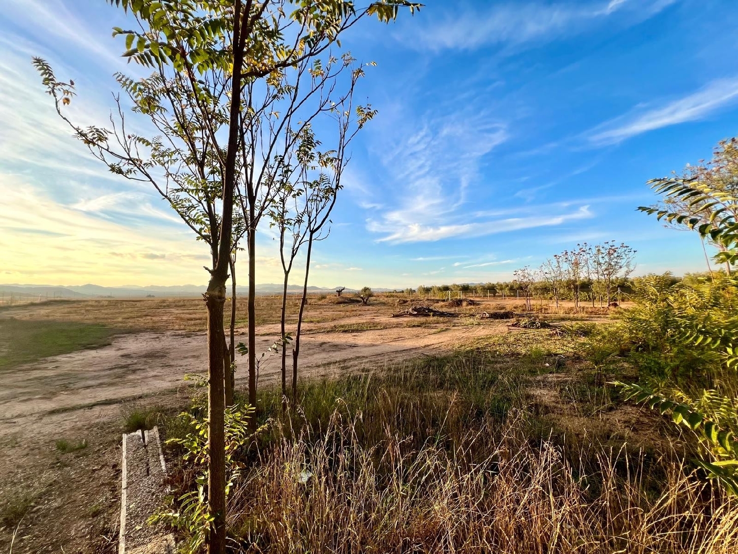  kaufen Landhaus Yecla Altiplano 3