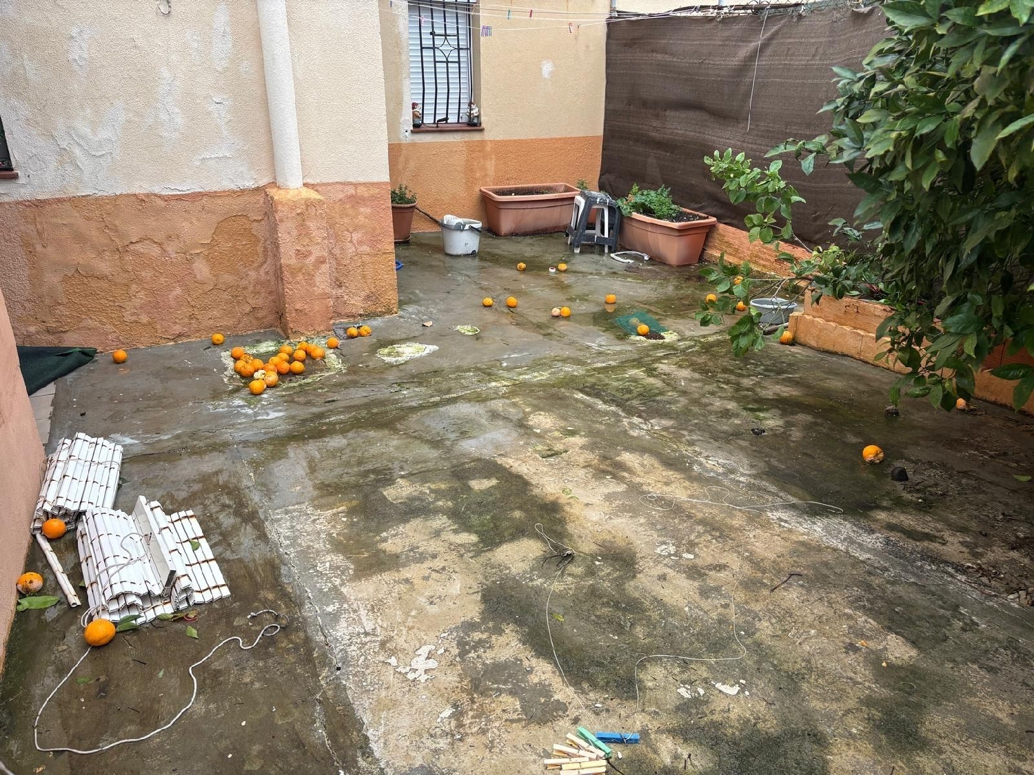  kaufen Erdgeschoss Algeciras Casco Antiguo Campo De Gibraltar 4