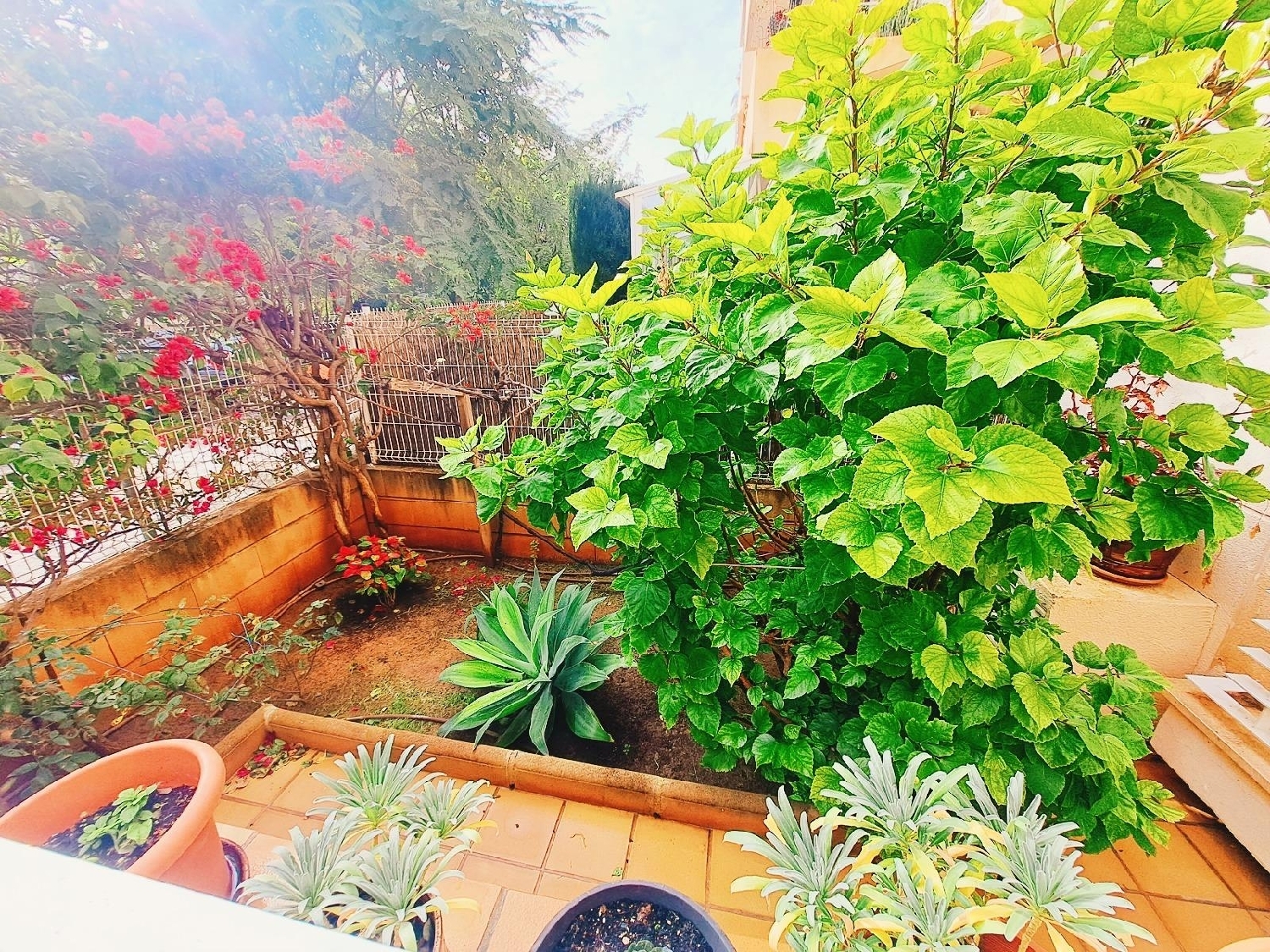  till salu bottenvåning Calvià Ponent 2