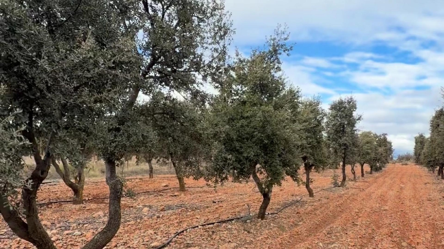  till salu hus Albentosa Gúdar-Javalambre 5
