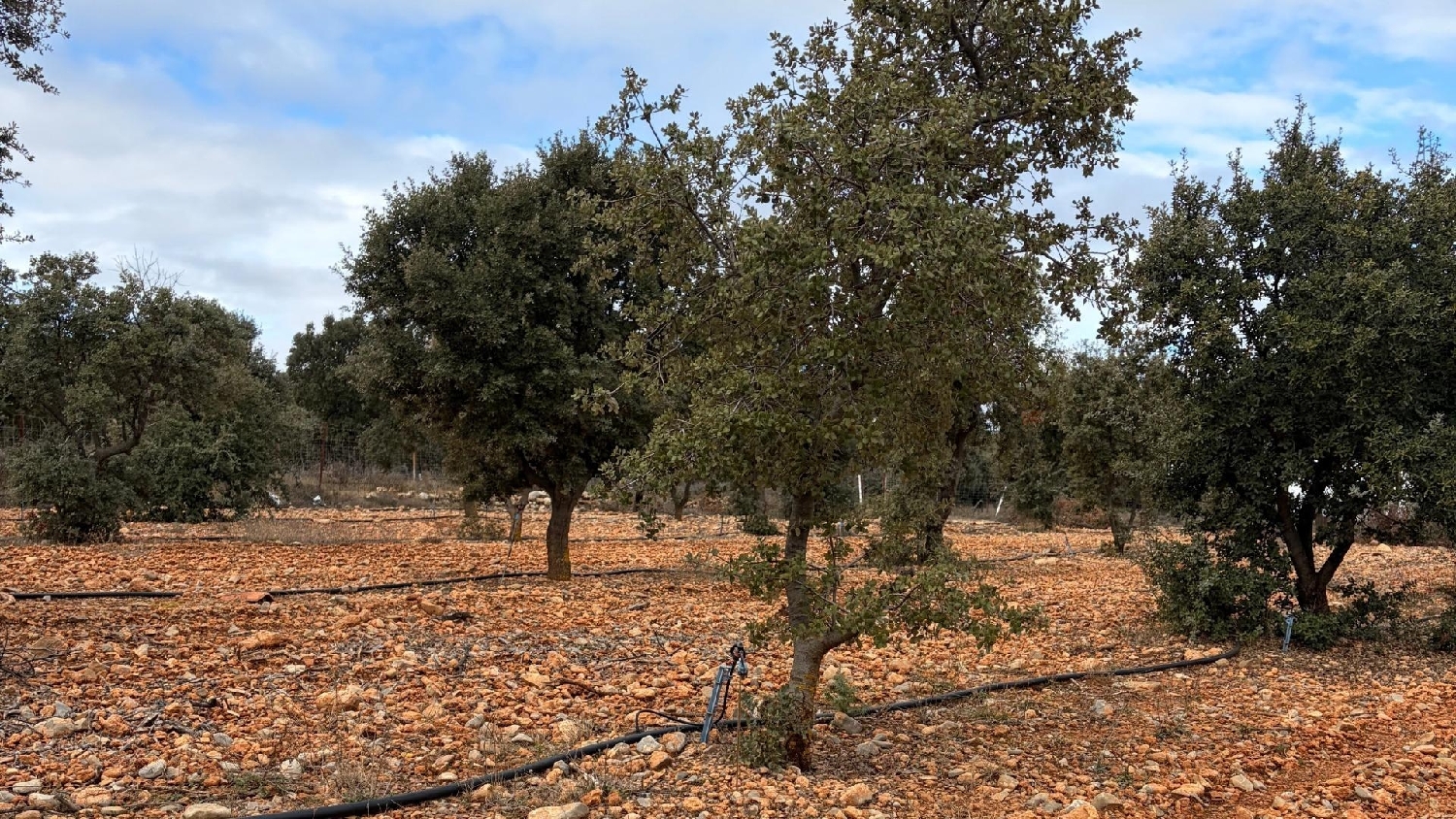  till salu hus Albentosa Gúdar-Javalambre 6