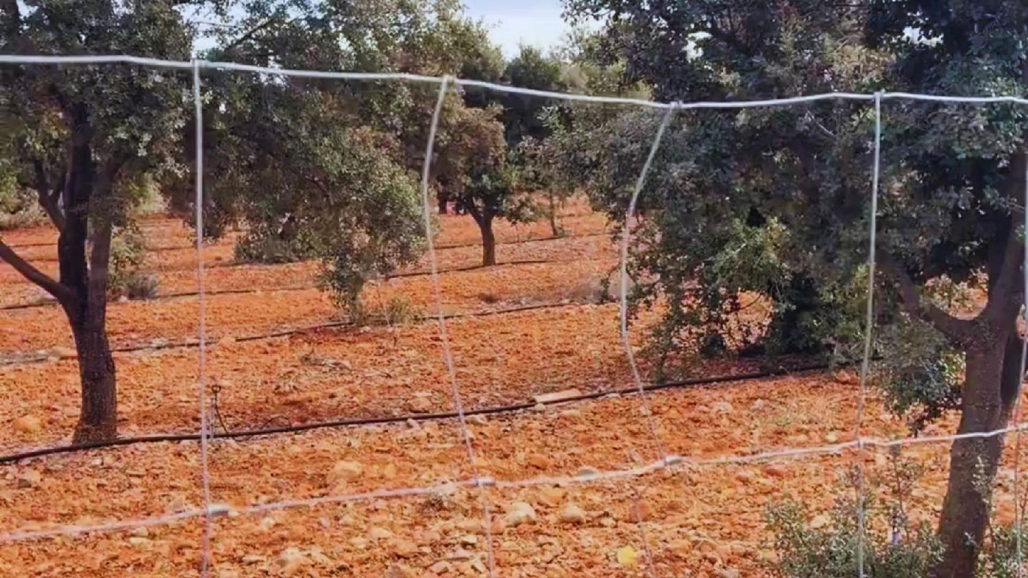  till salu hus Albentosa Gúdar-Javalambre 2